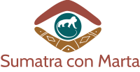 sumatraconmarta.png